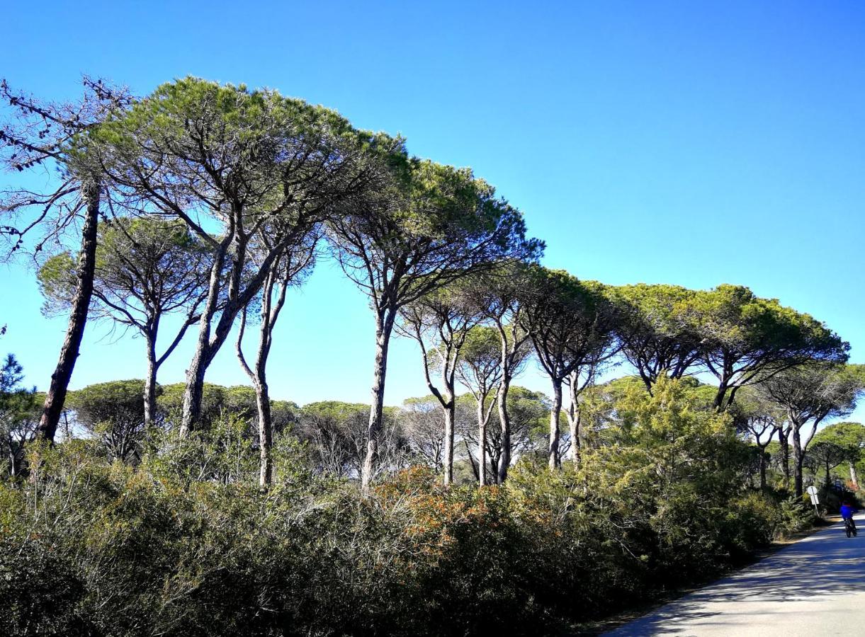 La Meria Di Maria Casa Arancio Villa Marina di Grosseto Buitenkant foto